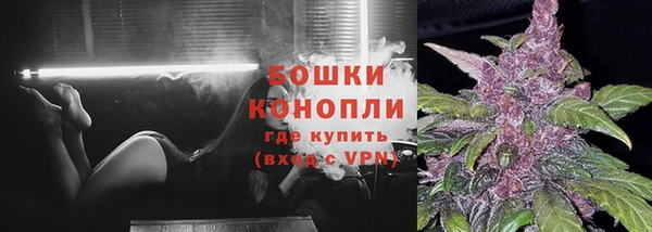 молекула духа Верхний Тагил