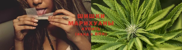 не бодяженный Бронницы