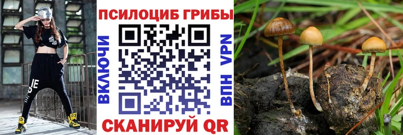 Псилоцибиновые грибы MAGIC MUSHROOMS  купить  сайты  Дубна 