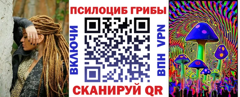 Псилоцибиновые грибы мицелий Дубна