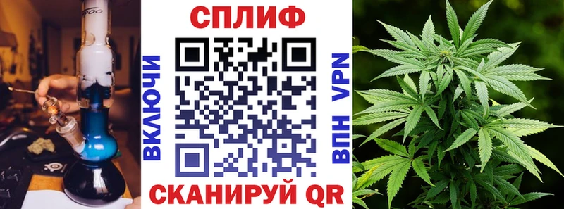 Бошки Шишки план Дубна
